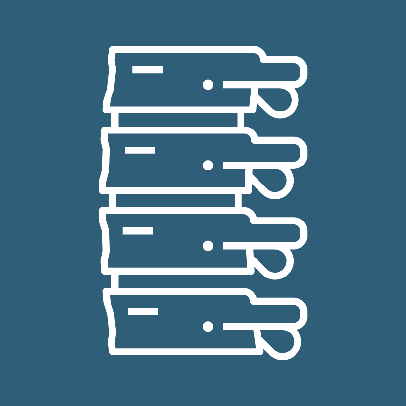 spine icon