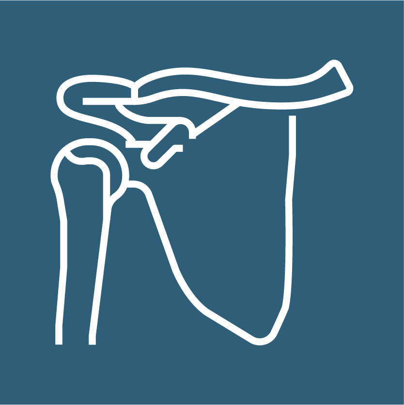 shoulder icon